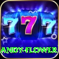 andy flower Max v1.5.4