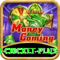 australian cricket Mega Gaming App