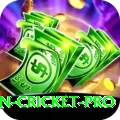 australian cricket King v3.4.2