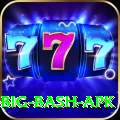 bbl big bash apk Games (Casino & Earning) Elite v2.0.3