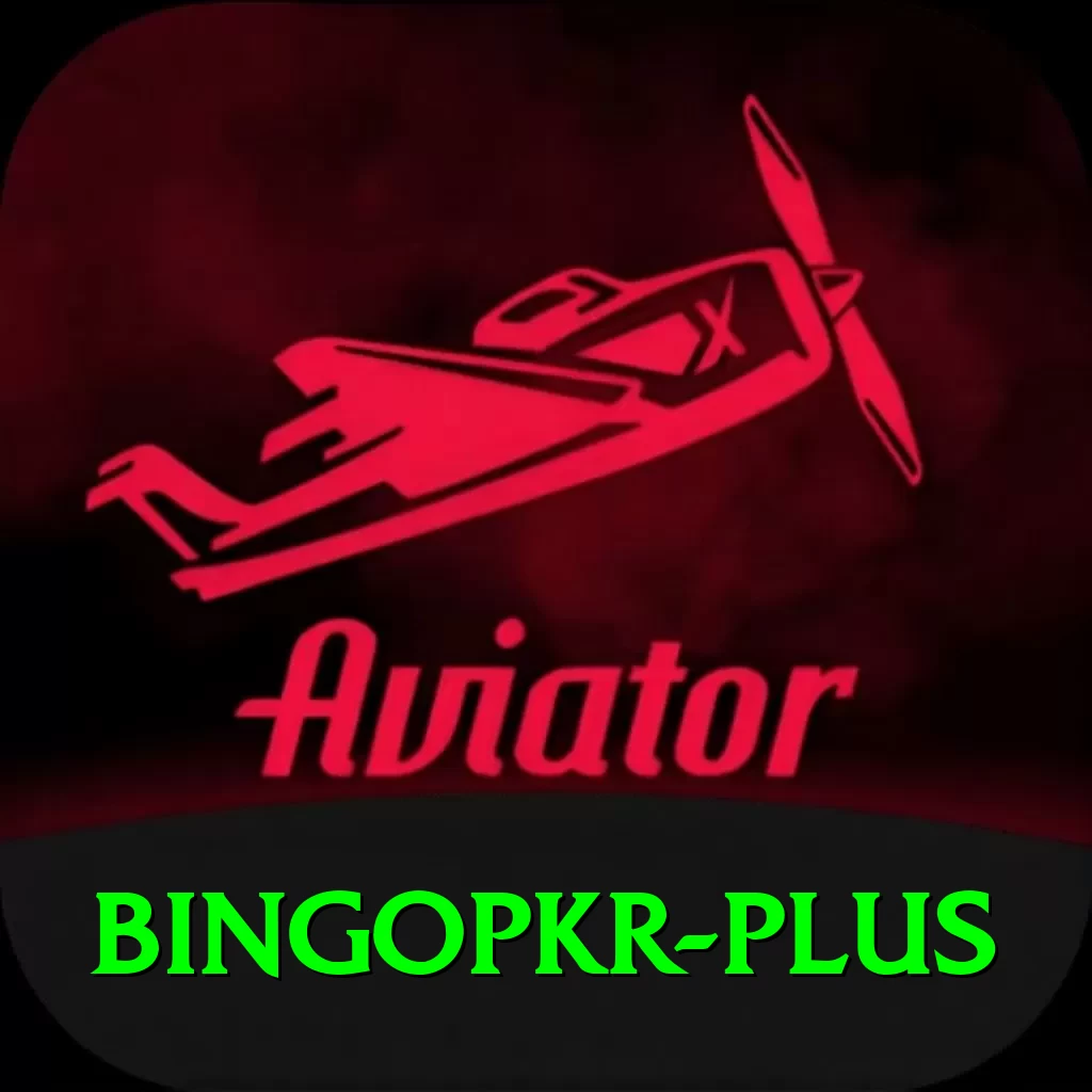 bingopkr Deluxe v3.0.9 - 2