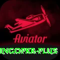 bingopkr Deluxe v3.0.9
