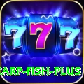 carp fish - Real Money Plus
