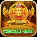 cricket bat Plus Pro v5.7.8