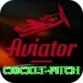 cricket pitch Games (Casino & Earning) Max v5.5.4