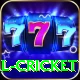 defending total cricket Games (Casino & Earning) Max v1.6.9