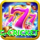 eng cricket Pro1 v5.5.8