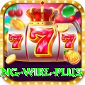 fishing wire - Slots Prime
