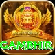 gautam gambhir Premium Edition v4.3.1
