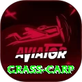 grass carp Turbo Pro v2.5.7