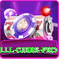 herschelle gibbs Slots Super v2.0.3