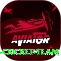 hong kong cricket team Turbo Pro v1.6.7
