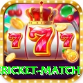 international cricket match Deluxe Edition v5.2.6