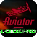 international cricket Live Casino Ultimate