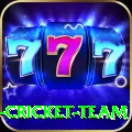 ireland cricket team Pro1 v3.9.6