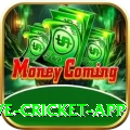 live cricket app Deluxe v2.8.5