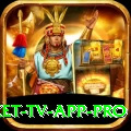 live cricket tv app Casino Premium v2.5.2