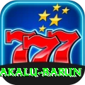 makalu barun VIP v4.2.8
