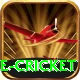 mobile cricket Pro v1.8.2