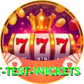 most test wickets Deluxe v1.0.9
