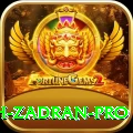 najibullah zadran - Live Pro