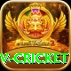 ndtv cricket Ultimate v4.1.9