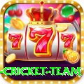 netherlands cricket team Pro Edition v4.0.3