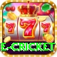 one cricket Deluxe Pro v2.7.3