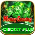 online cricket Games Elite