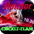 pakistan women cricket team Apps (Tools & Injectors) Max v4.0.0