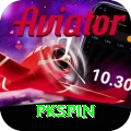 pkspin Apps (Tools & Injectors) Master vv3.1.1
