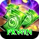 PKWin Master v5.0.2