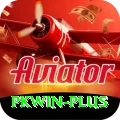 pkwin Gold Edition v1.0.8