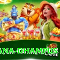 pothana dhampus Premium Plus v4.2.9