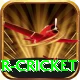 r cricket VIP Pro v5.4.1