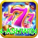 ravichandran ashwin Pro Edition v3.0.1