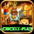 sa cricket Champion Gaming App