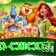 t20 cricket Plus Edition v2.8.7