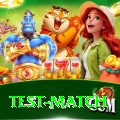 test match Elite v3.3.4