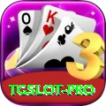tgslot Premium Edition v2.0.5