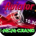 the signature at mgm grand Apps (Tools & Injectors) Premium v2.7.3