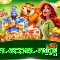 tnpl live score Pro - Daily Bonus