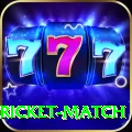 to day cricket match VIP v4.5.6
