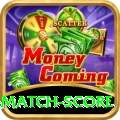 today cricket match score VIP Edition v2.6.4