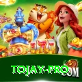 tojay Games (Casino & Earning) Gold v2.2.6