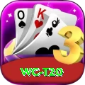 wc t20 Plus Edition v5.0.6