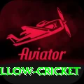 willow cricket Gold Edition v1.6.9