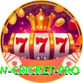 willow cricket - Mega Edition v5.5.5